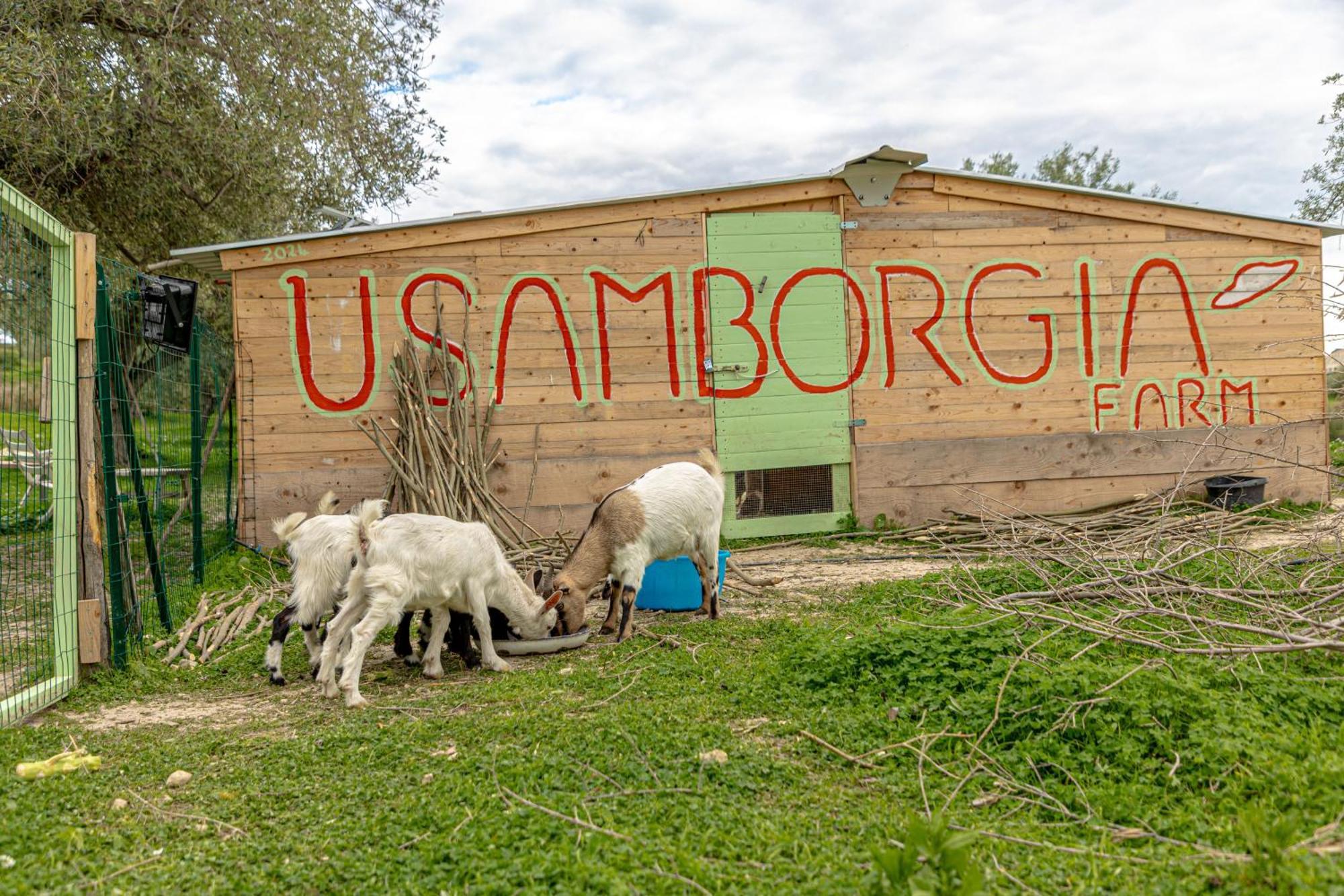 נוטו Masseria Usamborgia מראה חיצוני תמונה